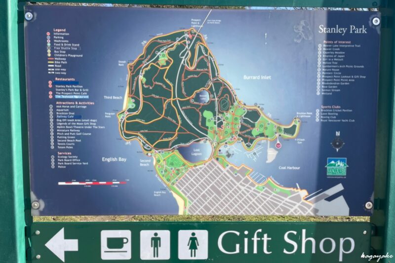 Stanley Parkスタンレーパークの春夏秋冬の楽しみ方 行く度に変わる景色を楽しもう 世界どこでも 情報局